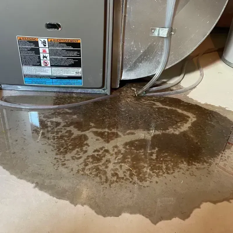 Appliance Leak Cleanup in Hartville, MO